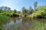 8846 Goldstone Lane - Photo 51