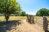 21169 Shelly Lane - Photo 47