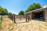 21169 Shelly Lane - Photo 49