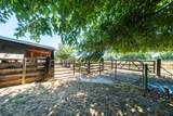 21169 Shelly Lane - Photo 51