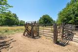 21169 Shelly Lane - Photo 52
