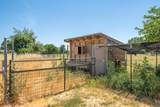 21169 Shelly Lane - Photo 53