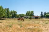 21169 Shelly Lane - Photo 56