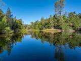 16075 Jellys Ferry Road - Photo 41