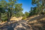 16075 Jellys Ferry Road - Photo 71