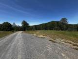 29609 Cedar Creek School Road - Photo 10