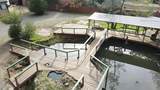 4806 Wilson Hill Road - Photo 4