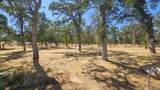 3854 Oak Lane - Photo 3