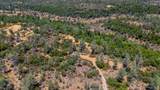 27010 Lack Creek Drive - Photo 4