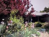 8828 Sun Valley Drive - Photo 48