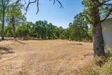8828 Sun Valley Drive - Photo 63