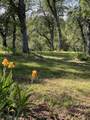 8828 Sun Valley Drive - Photo 65