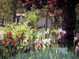 8828 Sun Valley Drive - Photo 69