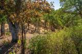 8828 Sun Valley Drive - Photo 72