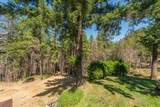 1004 Friedrich Road - Photo 40