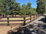 41250 Old School Road - Photo 2