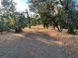  Wistful Vista Lane - Photo 8