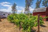 17331 Lassen Avenue - Photo 46