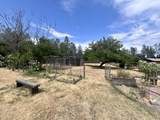 5778 Heavenly Valley Lane - Photo 51