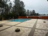 444 Logwood Dr Sp# 215 - Photo 54