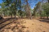 16271 Buzzard Roost Road - Photo 37