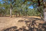 16271 Buzzard Roost Road - Photo 39