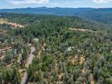 16271 Buzzard Roost Road - Photo 43
