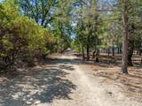 16271 Buzzard Roost Road - Photo 47