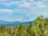 16271 Buzzard Roost Road - Photo 48