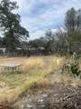 1110 Dusty Lane - Photo 24