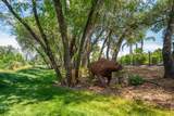 19580 Mockingbird Lane - Photo 165