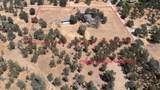 3820 Oak Lane - Photo 42