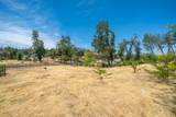 10123 Victoria Drive - Photo 3