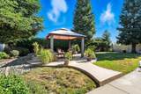 2110 Cilantro Drive - Photo 36