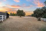 19396 Natalie Way - Photo 5