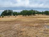 Lot 28 Rancho Estates Road - Photo 20
