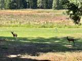 9312 Mountain Meadow Road - Photo 37