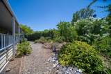 470 Brushwood Drive - Photo 22