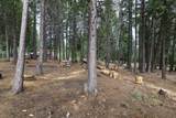 36088 Deer Flat Road - Photo 15