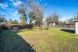 19354 Jacqueline Street - Photo 13