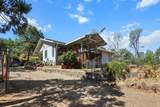 4824 Aloe Vera Drive - Photo 31