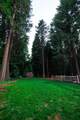 35363 Nehemiah Drive - Photo 30