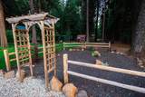 35363 Nehemiah Drive - Photo 32