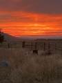 25965 Cir Bell Road - Photo 49