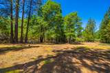 10648 Honey Bear Lane - Photo 26