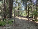 8421 Starlite Pines Road - Photo 57