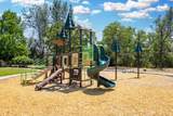 2773 Crystal Tree Drive - Photo 29