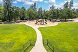 2773 Crystal Tree Drive - Photo 36