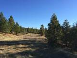17759 Patterson Ranch Road - Photo 10