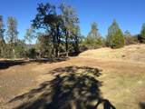 17759 Patterson Ranch Road - Photo 12